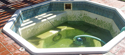 Fiberglass with algae