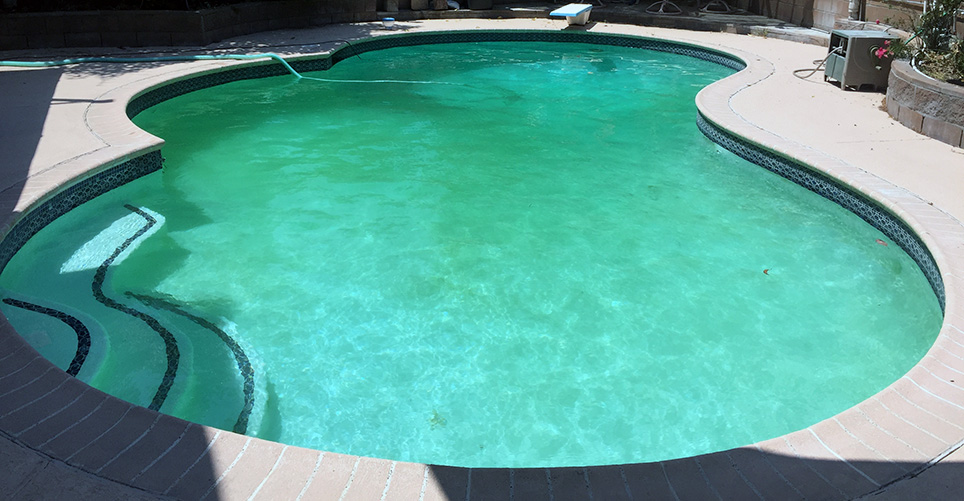 Painted blue pool with algae